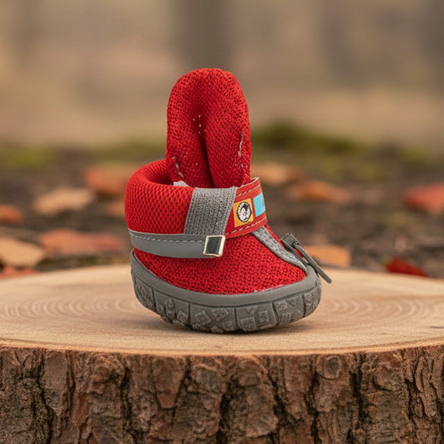 Rosy Booties