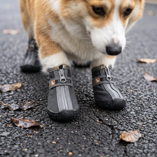 Midnight Booties